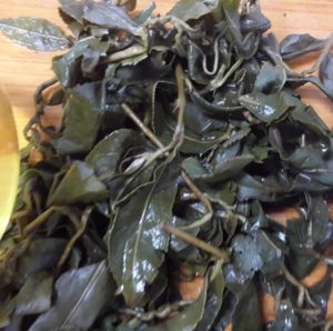 福壽山高冷茶葉