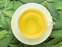 茶葉製作過程影片分享