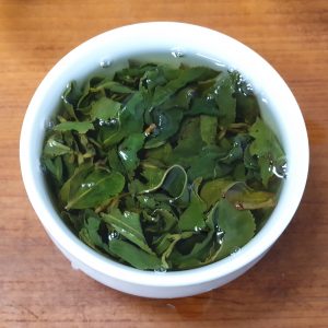 福壽山鐵觀音-春茶